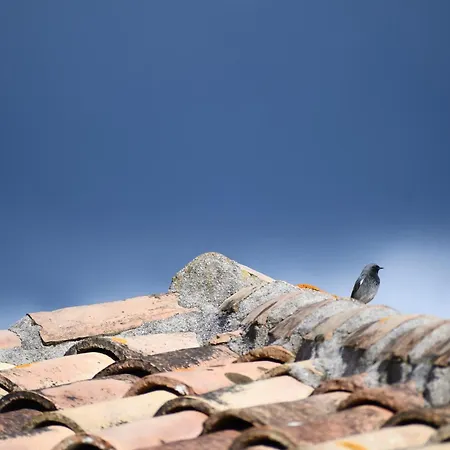 Διαμέρισμα Hermosa Casita De Pueblo Con Piscina En